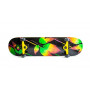 СкейтБорд деревянный от Fish Skateboard Лист  с рисунком, с усиленной подвеской