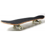Скейтборд SCALE SPORTS Rail Perry
